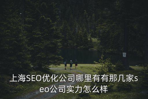 上海SEO优化公司哪里有有那几家seo公司实力怎么样