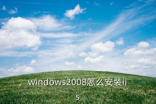 windows2008怎么安装iis