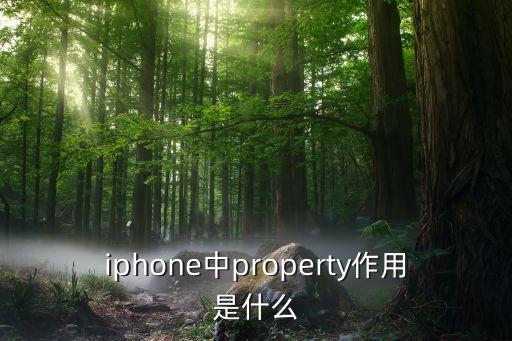 iphone中property作用是什么
