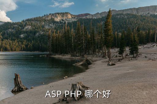 ASP PHP 哪个好