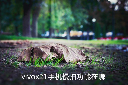 vivox21手机慢拍功能在哪