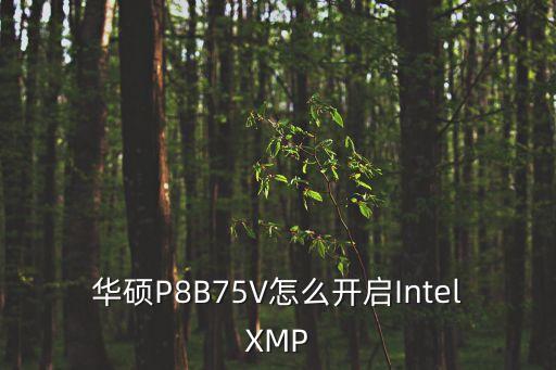 华硕P8B75V怎么开启IntelXMP