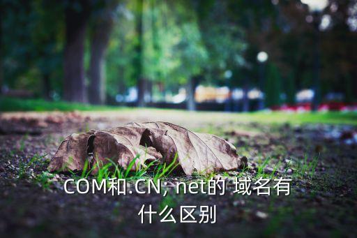 COM和.CN; net的 域名有什么区别