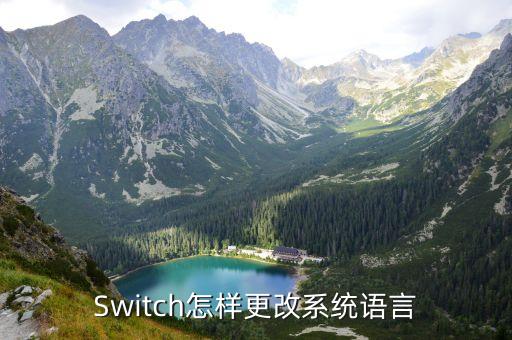 Switch怎样更改系统语言