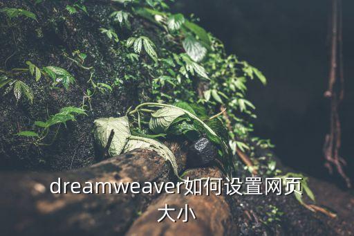 dreamweaver如何设置网页大小