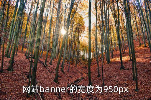 网站banner的宽度为950px