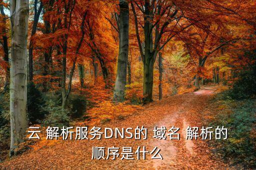 云 解析服务DNS的 域名 解析的顺序是什么