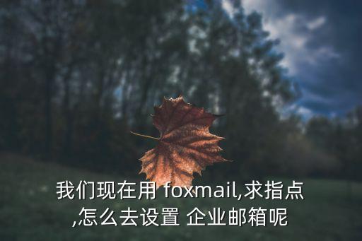 我们现在用 foxmail,求指点,怎么去设置 企业邮箱呢